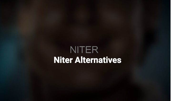 10 Alternative Sites Like Niter